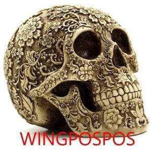 VR  20.5*14.5*15.5cm K[fjO | CeA u ~ [EXJ