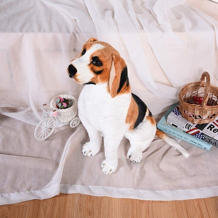 楽天市場】ビーグル犬 おすわり 大型ぬいぐるみ : 四つ葉ショップ
