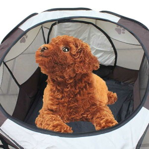 �|�[�^�u�� Folding Pet Tent Playpen Dog Fence Puppy Kennel Easy Operation Folding Exercise P