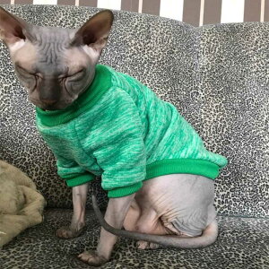 Warm �L Clothes �~ Pet �ߗ� �L �t�@�b�V���� Outfits Coats Soft �X�D�G�b�ger �p�[�J�[ Ra