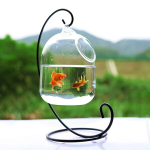 Clear PETFORU 15cm Height Hanging Glass �A�N�A���E�� Fish Bowl Fish Tank Flower Plant Vase wit