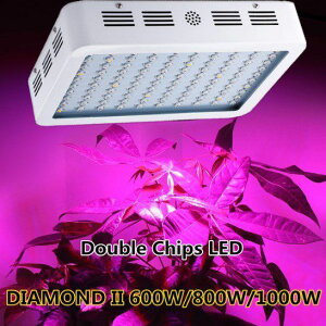 MasterGrow  p A琬 LEDCg 800W ͔| Sg A v pl K[f