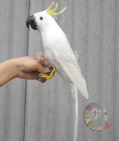 リアルな鳥の人形 キバタン オウム ドール ぬいぐるみ 43cm 鳥 バード 置物 オブジェ かわいい 本物の鳥の羽 白D