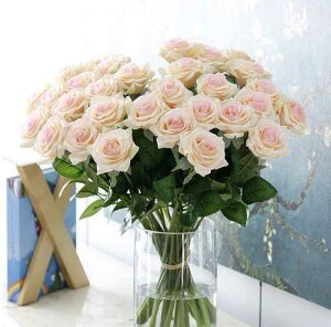   A[gt[ VNt[ ԑ KN [Y AWg u[P v[g j  sN V