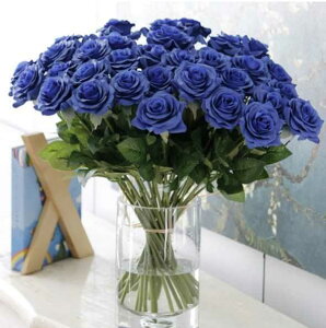 25{ o  A[gt[ VNt[ ԑ KN [Y AWg u[P v[g j  