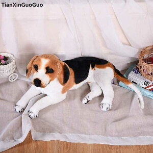 r[O ^ʂ a v[g   Mtg 60cm