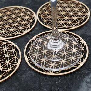 t[IuCtؐR[X^[ 50Zbg hNz_[ Mtg Xs`A