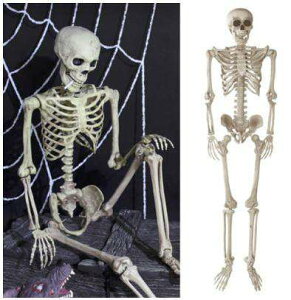 185 WCg iW{ nEB[p[eB XPg~  