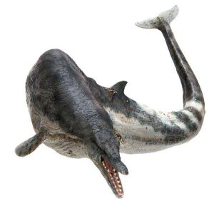 PNSO 50*9cm LO NW f whale ߋ Zeuglodon vX`bN i Vi݌