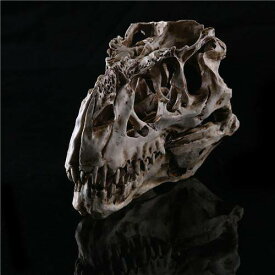 1PC ティラノサウルスレックス恐竜スカル手工芸品樹脂化石シミュレーション頭蓋骨モデルグッズのための光色 15*11.5*8 cm