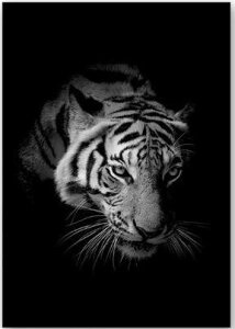 M01937 t@ubNpl A[gpl   g t[Ȃ