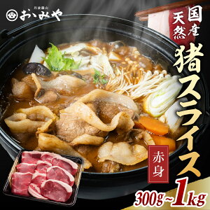 yr[Ly[ΏہzVR Ԑg XCX300g`1kg ōN Ԑg ڂZbg 1kg / 300g / 400g / 600g / 800g | OgR ݂ O  CmVV WrG Zbg 