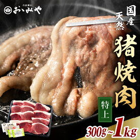 天然猪肉 焼肉セット 特上【ポイント2倍！レビュークーポン500円OFF 】ウィークリー1位獲得 国産天然猪肉 特上 冷凍 猪肉 （300g〜1kg 薬味付）焼き肉 焼肉セット いのしし イノシシ肉 ジビエ ギフト 贈答 お歳暮 御歳暮 父の日 丹波篠山 おおみや
