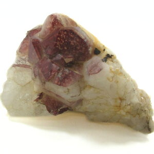 Ԑ bhNH[c bht@g NX^[ d748g ő咷12D7cm VR p[Xg[   u CeA z ̃NX^[