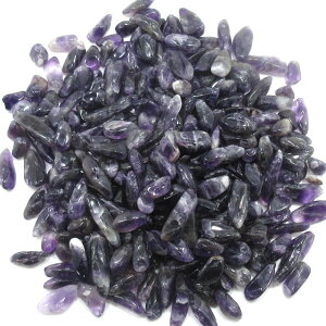 AWXg  500g   VR TU p[Xg[ `bv z  AWXg̃TU