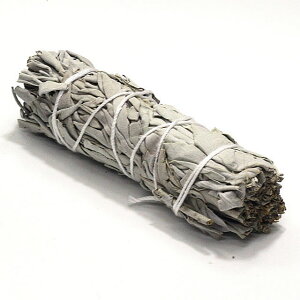 zCgZ[W h oh 10`11cm JtHjAYzCgZ[W 򉻃ACe ACe q[O n[u X}bWO