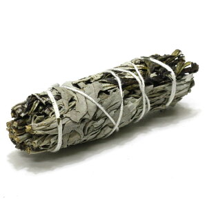 zCgZ[W CGoT^ h oh 10`11cm JtHjAY 򉻃ACe ACe q[O n[u X}bWO