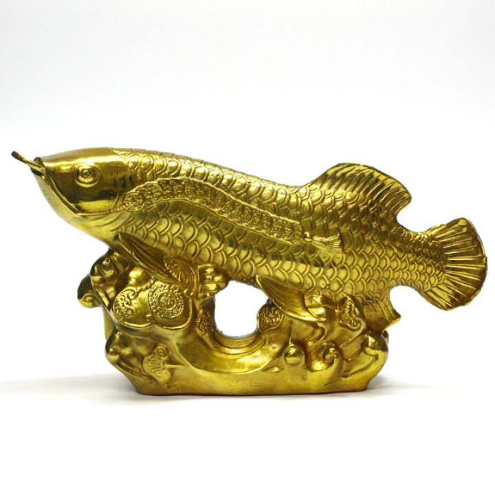 楽天市場】金龍魚 置物 アロワナ 風水 金龍 魚 特大最大長さ約25cm 