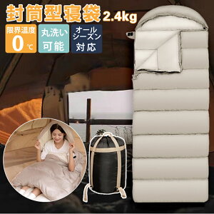 yԌI500~OFFN[|zQ RpNg ˂Ԃ 􂦂 Q zc g Vt ^ \ y t@~[ Lv Ԓ 傫TCY L AEghA 2.4kg I[V