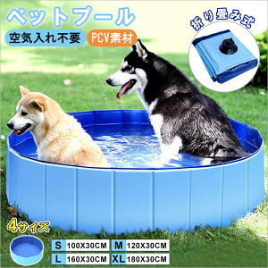 v[ rj[v[ ΍ 30CM ~` t@~[v[ ybgv[ v[ oXObY q уv[ t Ƒ  L LbY ȒPȔr SS  C Ȉ