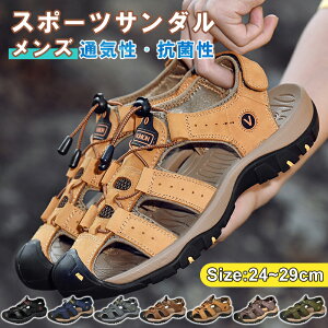 X|[cT_ Y AEghA y j l C V[Y ʋC ϏՌ v X|[c Lv tFX t  H C   }X|[c ][g s ₷ ̓