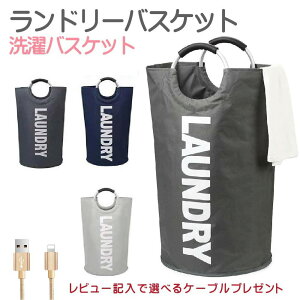 ランドリーボックス ランドリーラック 収納 通販 価格比較 価格 Com