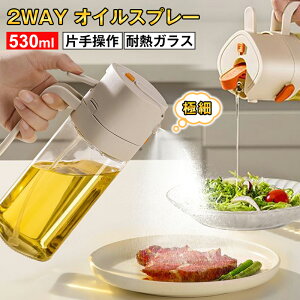 ICXv[ 2WAY^Cv 530ml ɍז {g Ў葀 Ȗ KX Lb`c[ IC Rh~ th~ e I[uIC T_ mtC[p p I