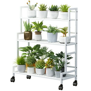 K[fbN 3i X LX^[t O  h~ ؂  hK ϗtA A ԑ t[bN t[X^h v^[X^h K[fjO | 