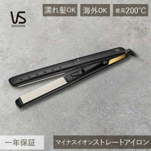 B_TX[ }CiXCI Xg[gAC (VSI-1021/KJ) VSI-1021 | }CiXCI wAAAC  ubN Re  wA[AC S O v[g Mtg VS Vidal Sassoon