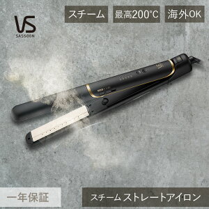 ���B�_���T�X�[�� �X�`�[���X�g���[�g�A�C���� (VSI-1055/KJ) VSI-1055�b�w�A�A�C���� �w�A�P�A �X�`�[�� �}�C�i�X�C�I�� �� �u���b�N �A�C���� �l�C �������� �O�� ���S�� �R�e �a���� �v���[���g