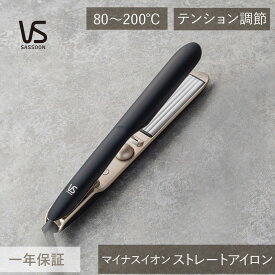 ヴィダルサスーン ダブルプロテクトストレートアイロン ヘアアイロン マイナスイオン VSI-1070/KJ VSI-1070 ストレート ダメージ軽減 水分キープ 黒 ブラック うるおい 海外旅行 240V おしゃれ 人気 おすすめ コテ プレゼント ギフト VS ヘアーアイロン VSI1070 送料無料