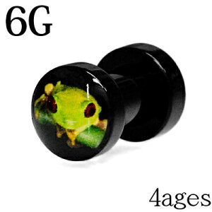 {fBsAX 6G AN sN`[tbOvO / 6Q[W Jt g [Wz[ lW u JG ^ ubN ঒  AM[Ή 킢 gl