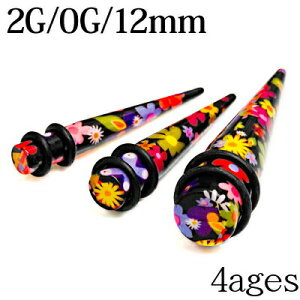 {fBsAX 2G 0G 12mm ԕvgANGLXp_[ / 2Q[W 0Q[W 12~ g [Wz[ nCQ[W u  t[vg 킢  t AM[