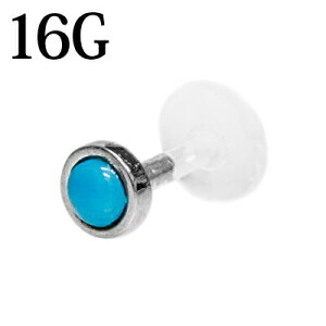 {fBsAX 16G ^[RCYtvbVsubg / 16Q[W PTFE {fB[sAX gKX sAX u } _炩 ȒP `[t 킢 Vo[ NA  M 