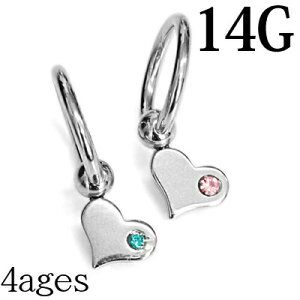 {fBsAX 14G XeX n[g`[ttLveBur[YO / 14Q[W Vo[ ւ CBR u z[ `[t sAX fUC t[vsAX AM[Ή 