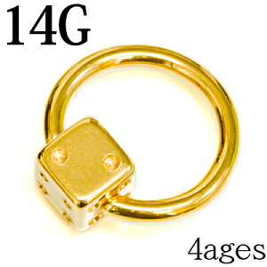 {fBsAX 14G XeX _CX{[LveBuO / 14Q[W S[h ւ CBR u z[ TCR `[t sAX OsAX t[vsAX PVD  킢