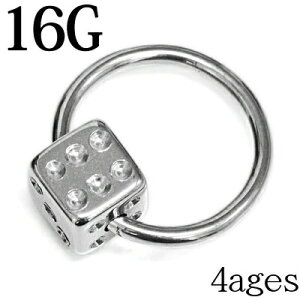 {fBsAX 16G XeX _CX{[LveBuO / 16Q[W Vo[ ւ CBR u z[ TCR `[t sAX AM[Ή OsAX t[vsAX PVD 