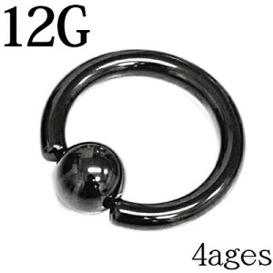 {fBsAX 12G LveBur[YO / XeX ubN 12Q[W ւ O CBR 316L Vv  t[v  AM[Ή   PVD