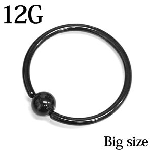 {fBsAX 12G rbOLveBur[YO / XeX ubN 12Q[W OsAX CBR Vv t[v AM[Ή   PVD