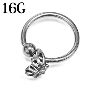 {fBsAX 16G o^tC`[tLveBuO / 16Q[W XeX Vo[ u sAX  CBR fUC `[t OsAX AM[Ή