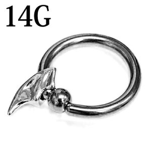 {fBsAX 14G frEBOtLveBuO / 14Q[W XeX Vo[ u sAX  CBR fUC Lb` `[t z[ OsAX AM[Ή H