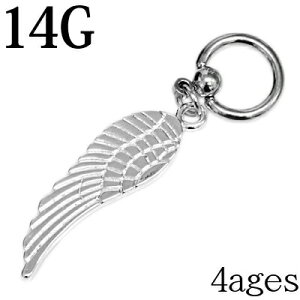 {fBsAX 14G XeX o[hEBO`[ttLveBuO / 14Q[W Vo[ ւ CBR u z[ `[t sAX H  AM[Ή  ڗ