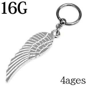 {fBsAX 16G XeX o[hEBO`[ttLveBuO / 16Q[W Vo[ ւ CBR u z[ `[t sAX H  AM[Ή  