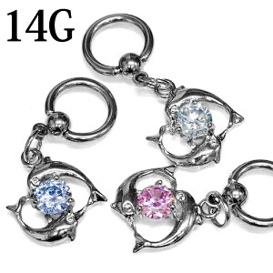 {fBsAX XeX 14G htBLveBuO / 14Q[W Vo[ u sAX CBR `[t 킢 C OsAX AM[Ή CJ