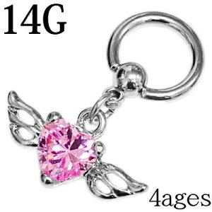 {fBsAX XeX 14G GWFEBOtn[g`[tLveBuO / 14Q[W Vo[ u  CBR fUC 킢 H  OsAX Vg fB[X A