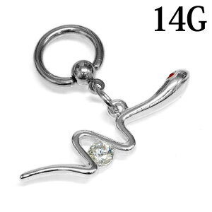 {fBsAX 14G XeX Xl[NLveBuO / OsAX sAX 14Q[W Vo[  CBR u x fUC wr  ঒ x `[t 14g