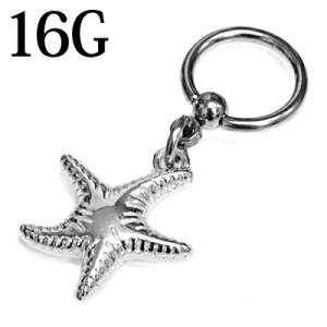{fBsAX 16G qgf`[tLveBuO / 16Q[W XeX Vo[ sAX CBR  u OsAX ЂƂ fUC C   AM[Ή