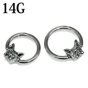 {fBsAX 14G uhbOwbh`[ttLveBuO / 14Q[W XeX Vo[ u   Ck CBR fUC Aj}  AM[Ή 킢