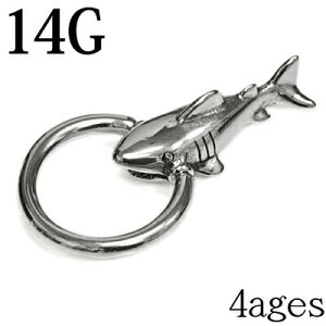 {fBsAX 14G V[NLveBuO / 14Q[W XeX Vo[ u  T L CBR fUC `[  TJi  C  O  T[WJ 14g