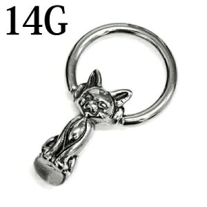 {fBsAX 14G LLveBuO / 14Q[W XeX Vo[ u  lR Lbg CBR fUC Lb` `[t Aj}  OsAX AM[Ή 